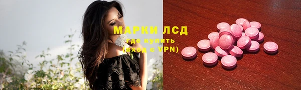 прущие грибы Абаза