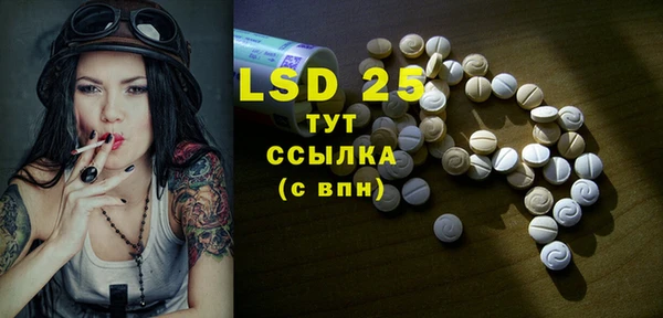 прущие грибы Абаза