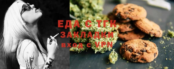 прущие грибы Абаза