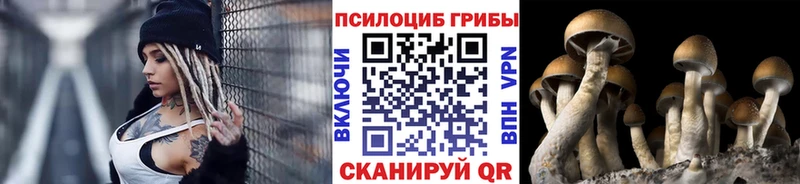Галлюциногенные грибы Cubensis  Прокопьевск 