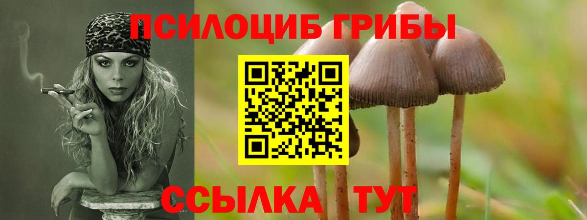 Прокопьевск  купить наркотики сайты  Вход с VPN  Псилоцибиновые грибы GOLDEN TEACHER 